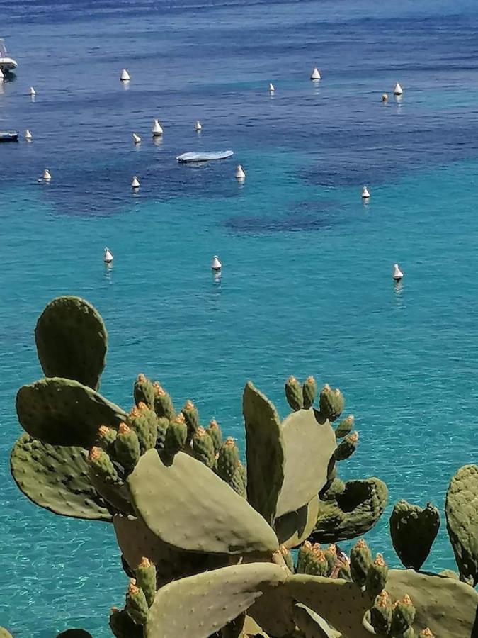 Casa Vacanza Tra Cielo E Mare Custonaci Exterior foto